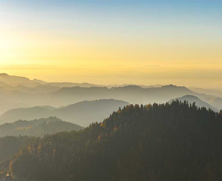 Bestattungen in Hornberg Schonach und Umgebung